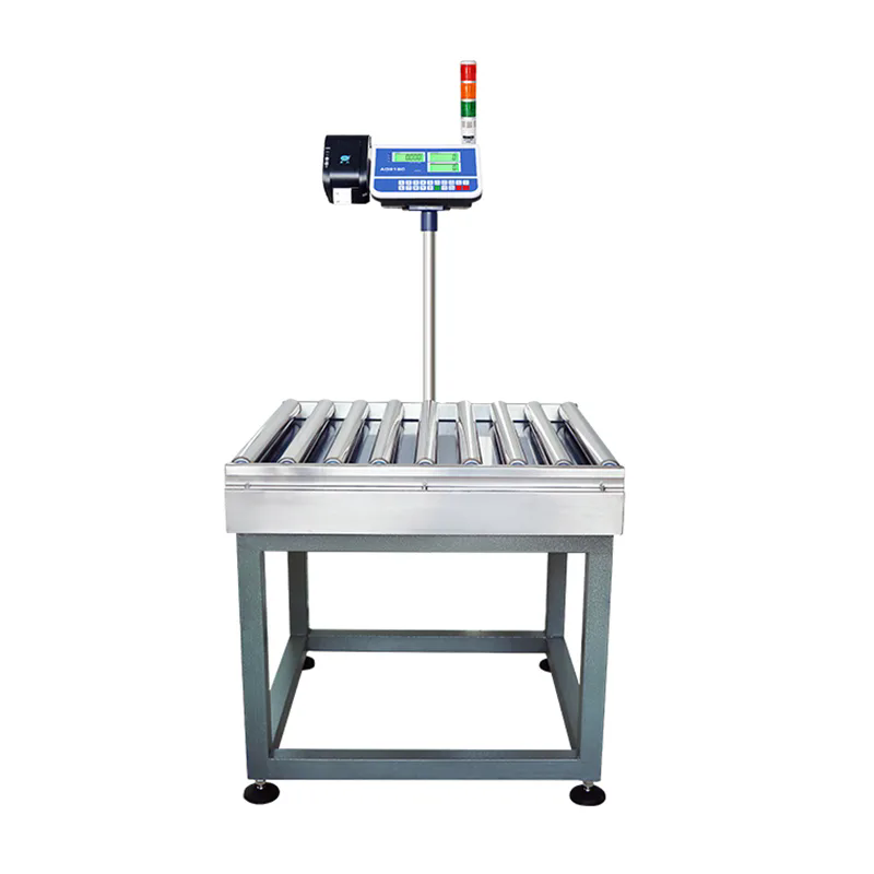 How Can Roller Conveyor Scales Improve Industrial Weighing Efficiency?