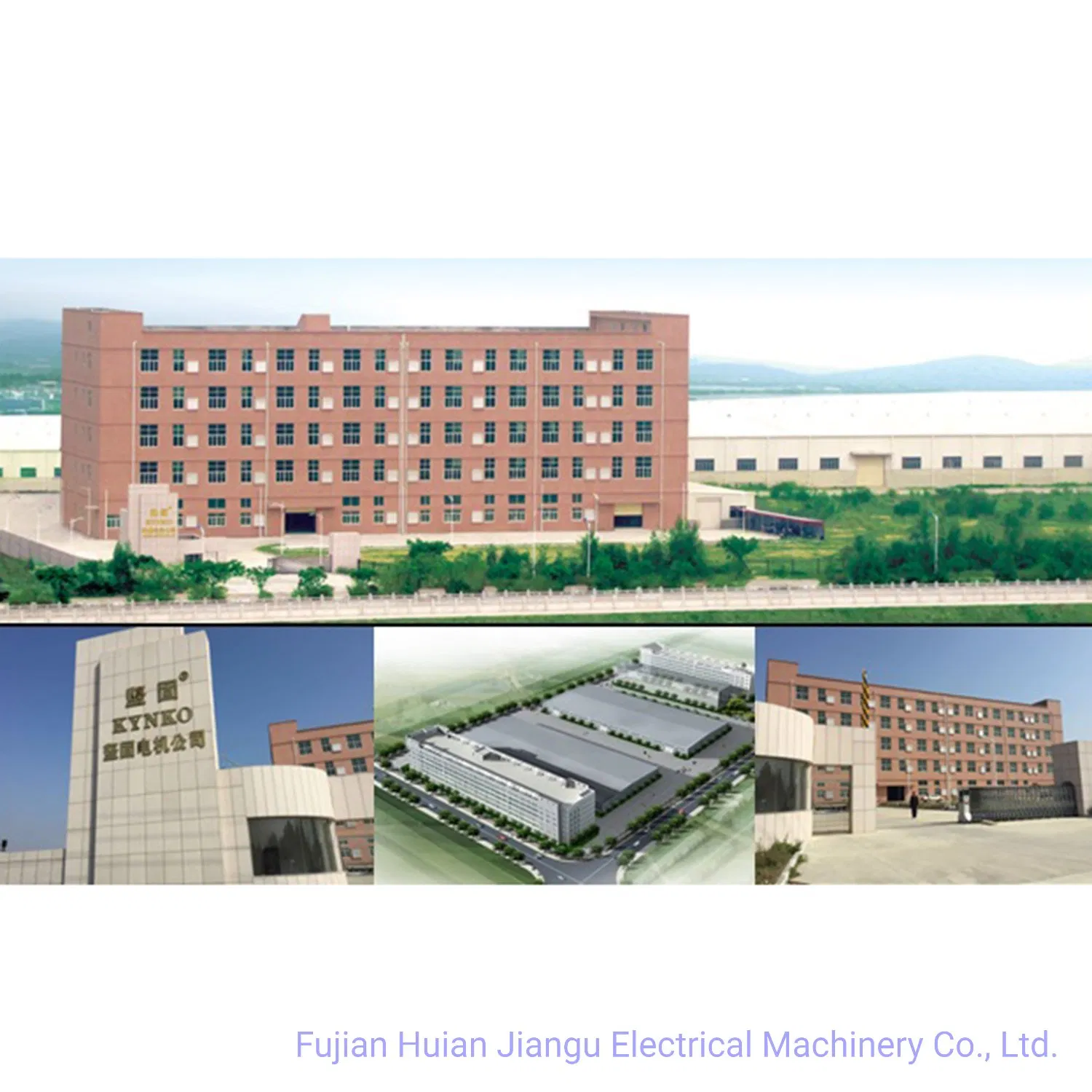 Flexible Disc for Wet Dry Polishing Stone