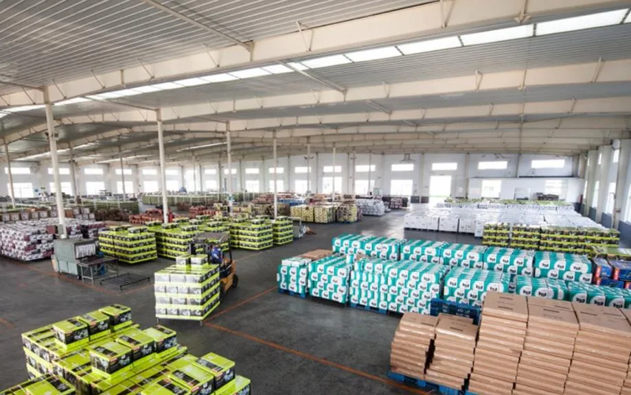 High Quality 5 Speed 220V 250W 13mm Chuckless Drill Press with Cross Laser Guide