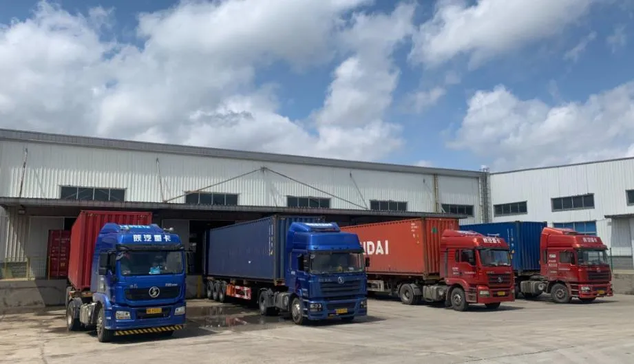 Professional 5 Speed 220V 250W 13mm Bench Drill Press with Light for DIY